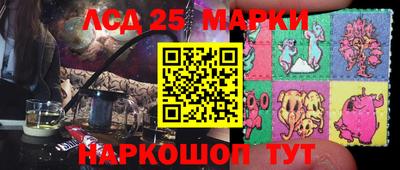 гидропоника Бердск