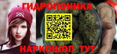 гидропоника Бердск