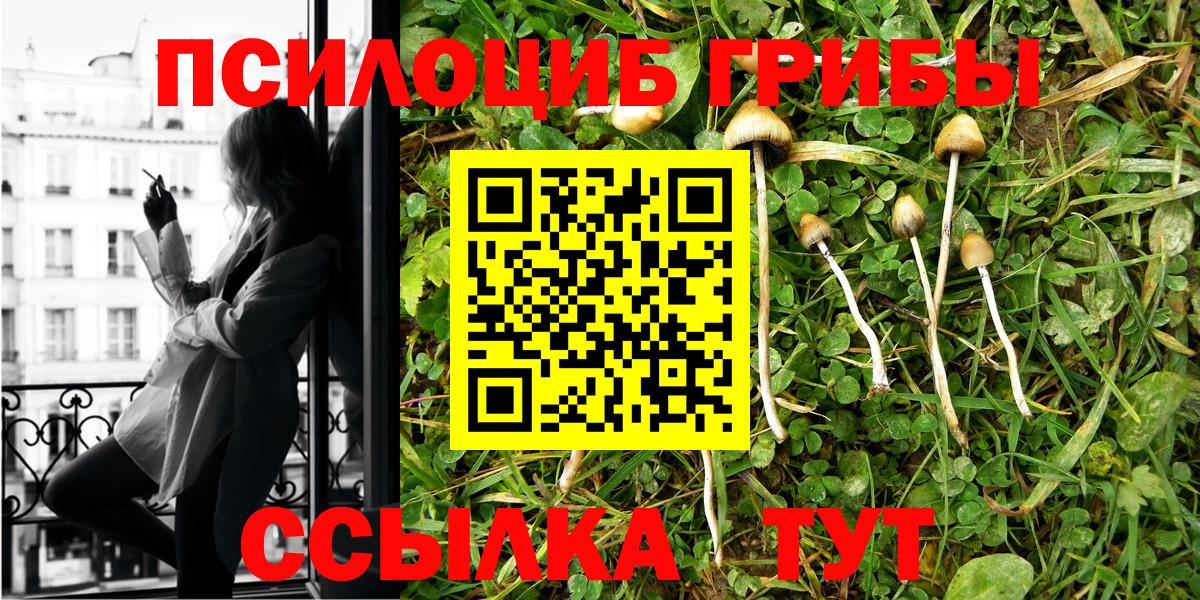 Галлюциногенные грибы Psilocybine cubensis  Вход с VPN  наркотики  Гурьевск 