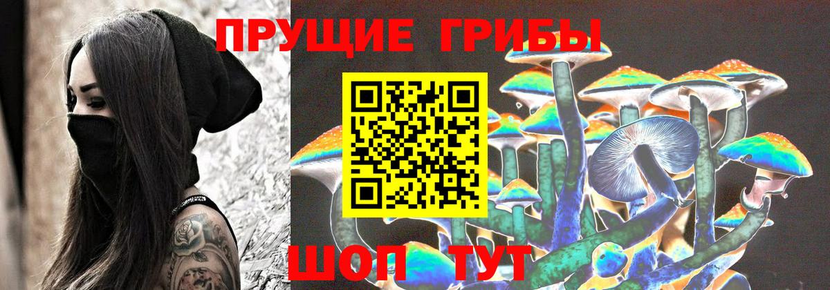 Псилоцибиновые грибы ЛСД Гурьевск